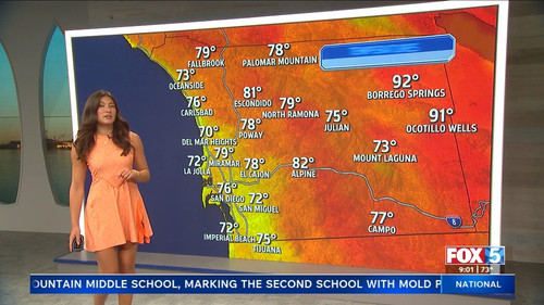 08.24 17.00.00 FOX 5 Morning News at 9 00am ᴺᵉʷ. Local news, wea....ts snapshot 00.10.14.314