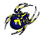 spider.gif