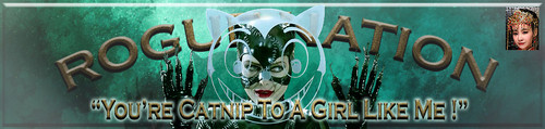 Phiffer Banner.jpg