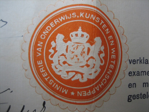 81369a.jpg