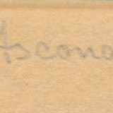 81513b