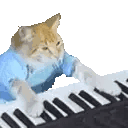 keyboardCat 4x.gif