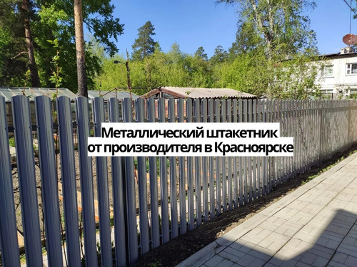 426.jpg