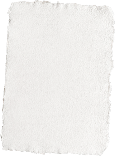 IMG 4192.png