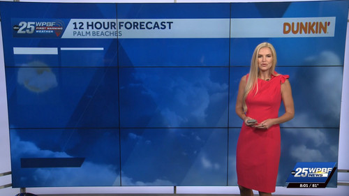 08.15 13.00.00 WPBF 25 News at 8 am ᴺᵉʷ. Stay informed with the ....ts snapshot 00.01.50.260