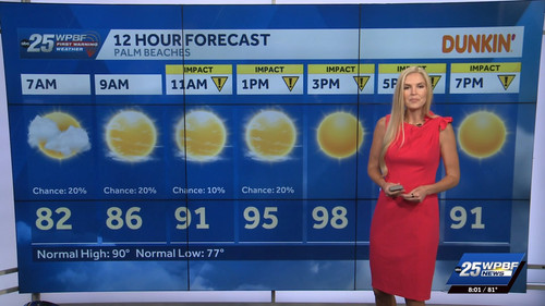 08.15 13.00.00 WPBF 25 News at 8 am ᴺᵉʷ. Stay informed with the ....ts snapshot 00.01.51.630