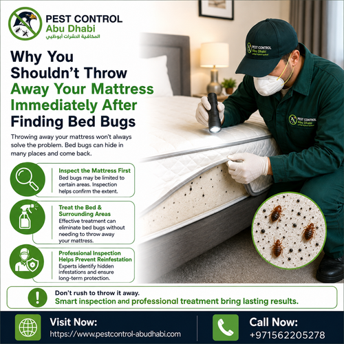 Why You Shouldn’t Throw Away Your Mattress Immediately After Finding Bed Bugs.png