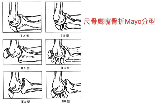 IMG 20260826 162533.jpg