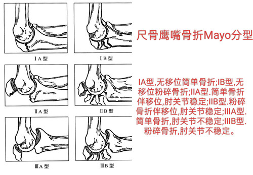 IMG 20260826 164350.jpg