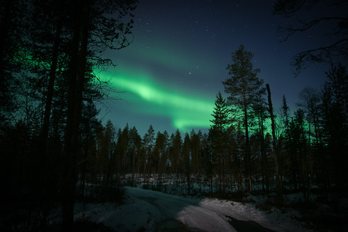 aurora 4.jpg