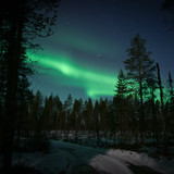 aurora 4