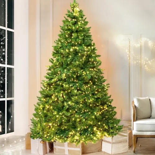 s l960.webp