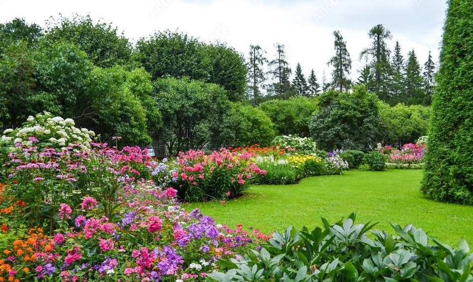 Transform Your Home: The Ultimate Guide to Creating a Lush, Floral Garden Oasis