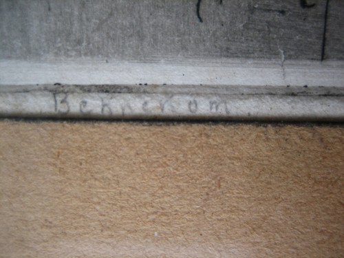 81548e.jpg