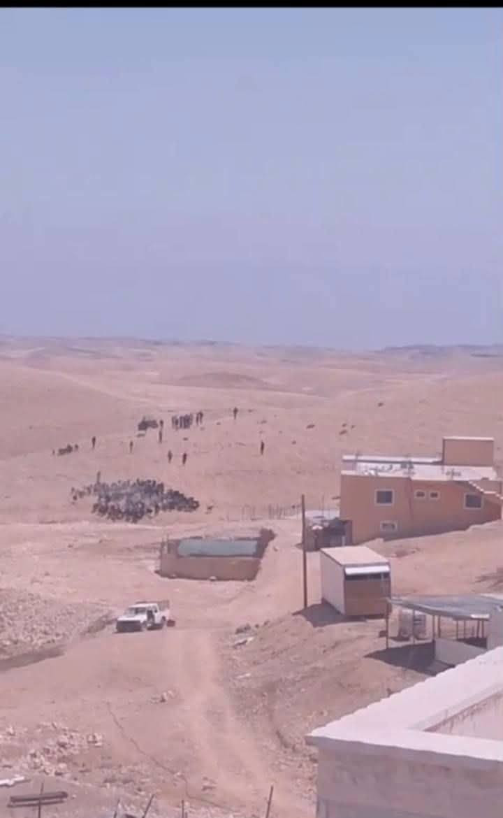 صورة| قطعان المستوطنين يطاردون رعاة الأغنام في محاولة لسرقة الأغنام في عرب الفقير خشم الدرج شرق مدينة يطا جنوب الخليل...