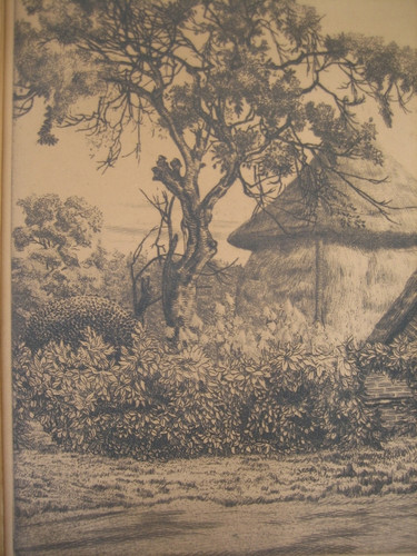 27149e.jpg