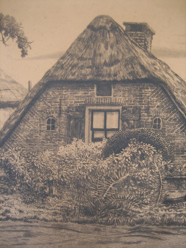27149f.jpg