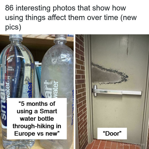 well worn pics.jpg