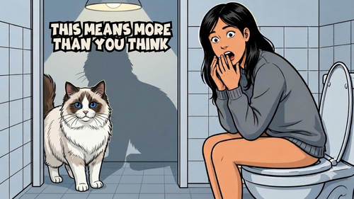 If Your Cat Follows You to the Bathroom, It's the Highest Compliment Noah.png