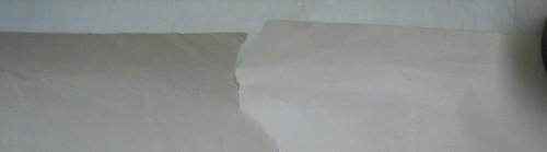 27309b.jpg
