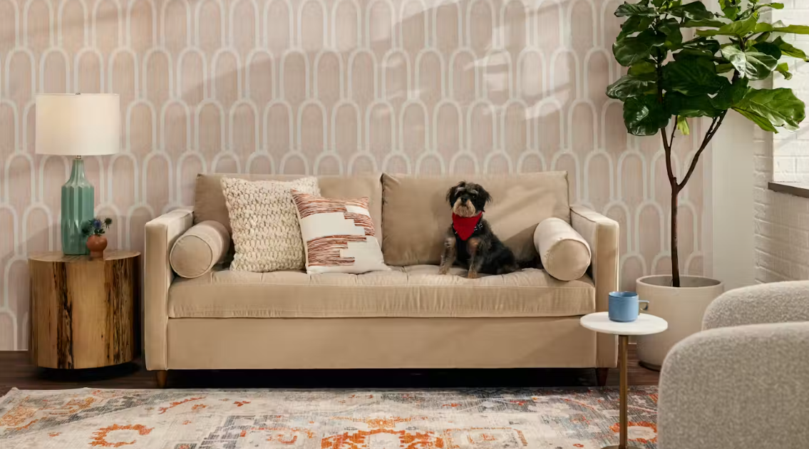 Elevate Your Living Space: How the Right Sofa Creates an Elegant Home