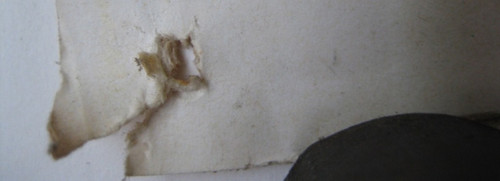 27364g.jpg
