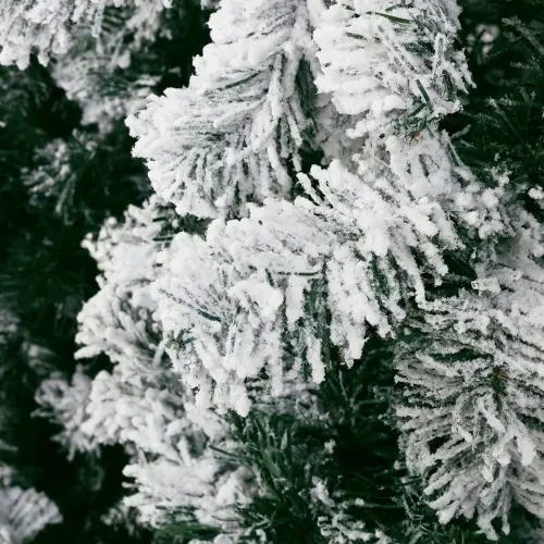 s l960.webp