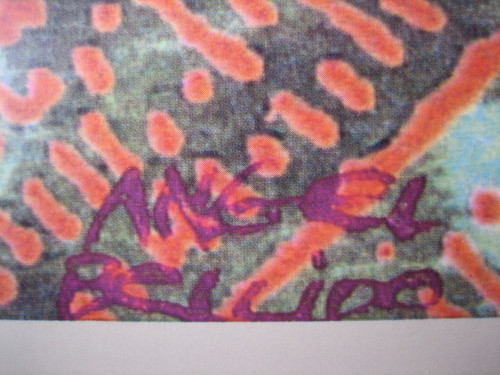 27252e.jpg