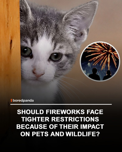 img facts.jpg