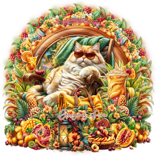 ssy TequilaSunriseGorgeousArie vi.png