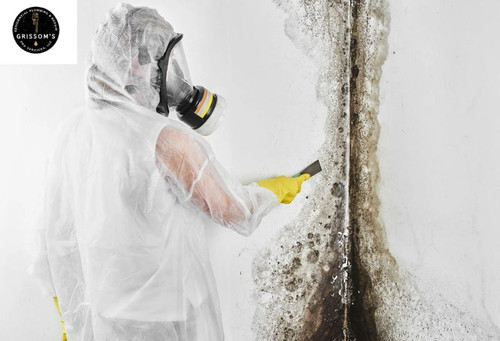 Mold Removal Toccoa.jpg