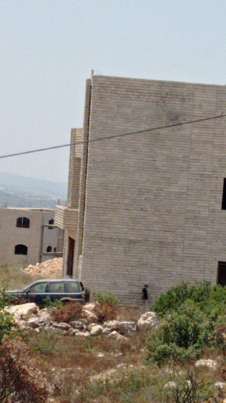 صورة الخبر