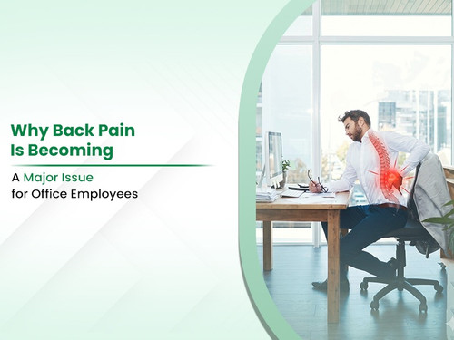 Why-Is-Back-Pain-Becoming-a-Major-Issue-for-Office-Employees.jpg