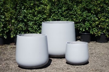Vessel Collection Egg-Shaped Planters | The Bamboo Jungle.jpg