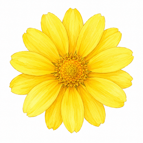 13. 黄色い（きいろい）— kuning.png