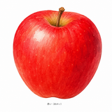 7. 赤い（あかい）— merah