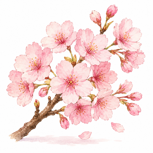 34. さくら（桜）— Sakura bunga sakura.png