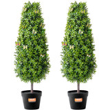 us%2FHYMRGXJS36YCXKYTZV0%2Foriginal img v2%2Fartificial topiary m100 1.2