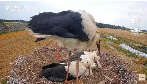 MWSnap424.jpg