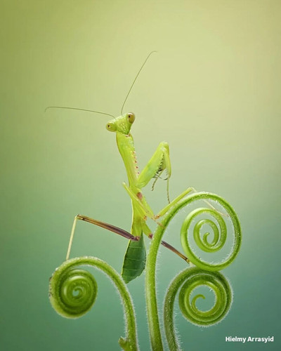 13 6a21d79c79f02 png 700.jpg