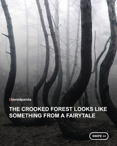swipe to read.jpg