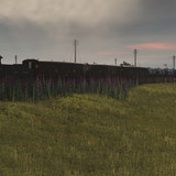 2026 07 06 171455