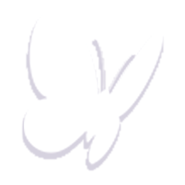 2zi.png