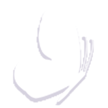 1zi.png