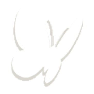 2bai.png