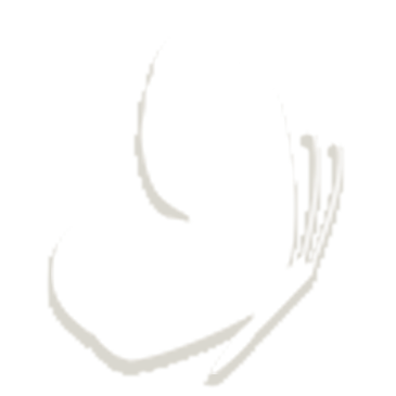 1bai.png
