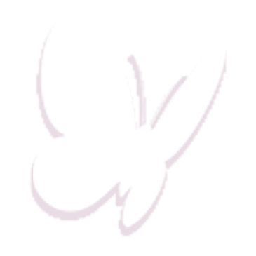 2fen.png