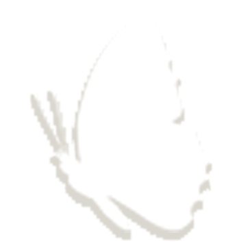 7bai.png