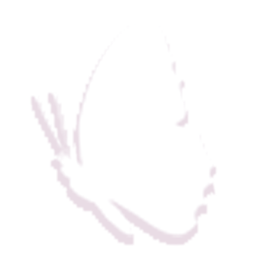 7fen.png
