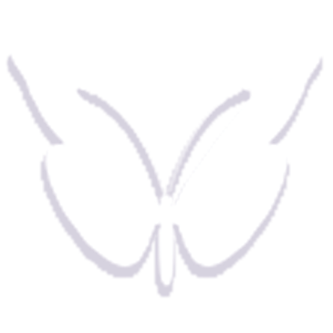 6zi.png